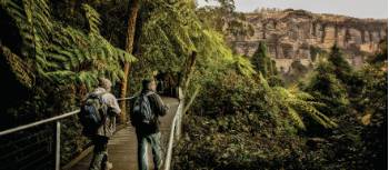 The Blue Mountains has a great variety of bush walks to suit everyone's fitness abilities | David Hill