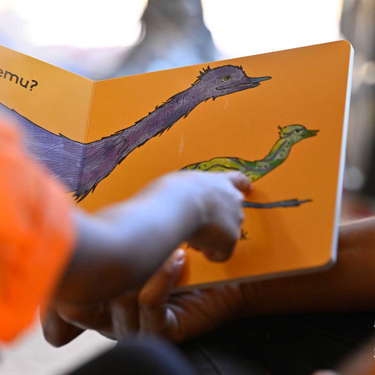 Please support this Australian Regenerative Travel Project