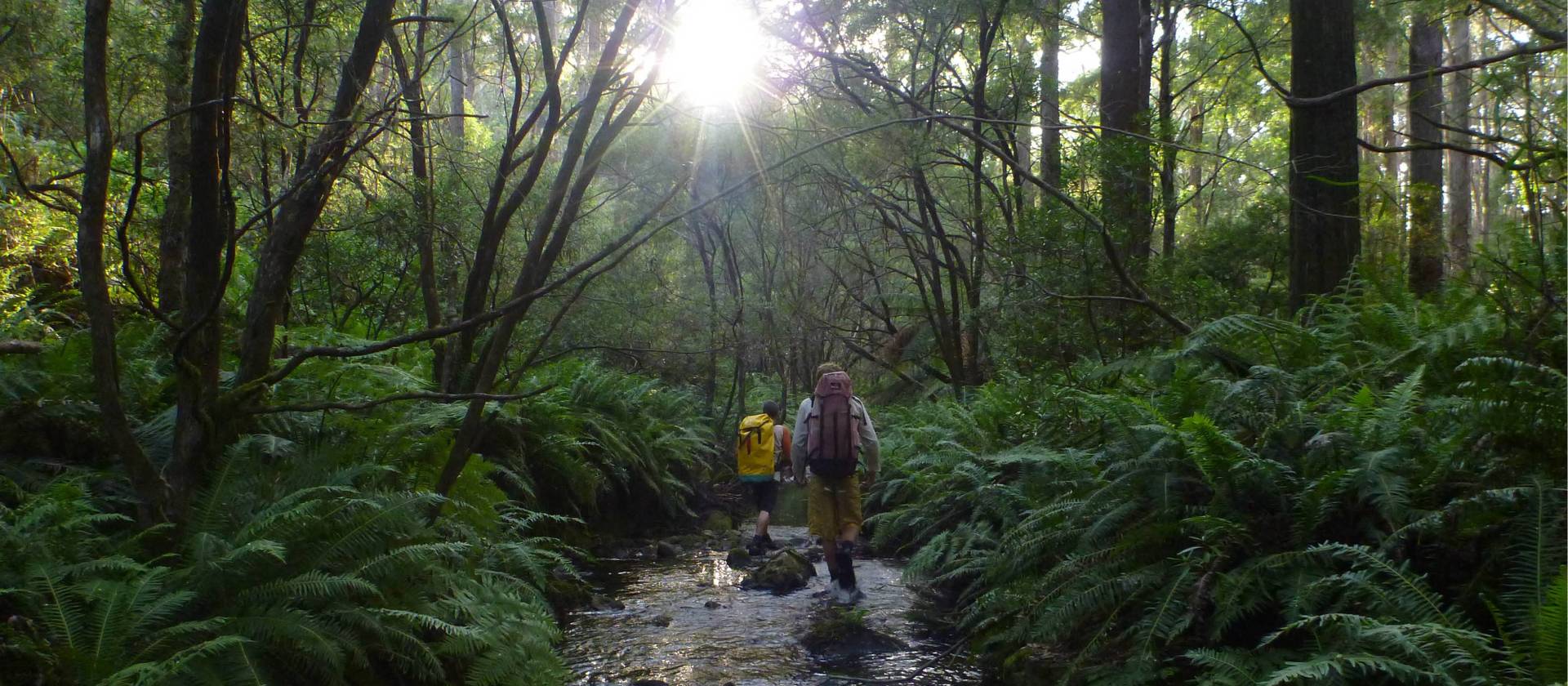 The canyons of Kanangra-Boyd National Park are unique and special places to explore
