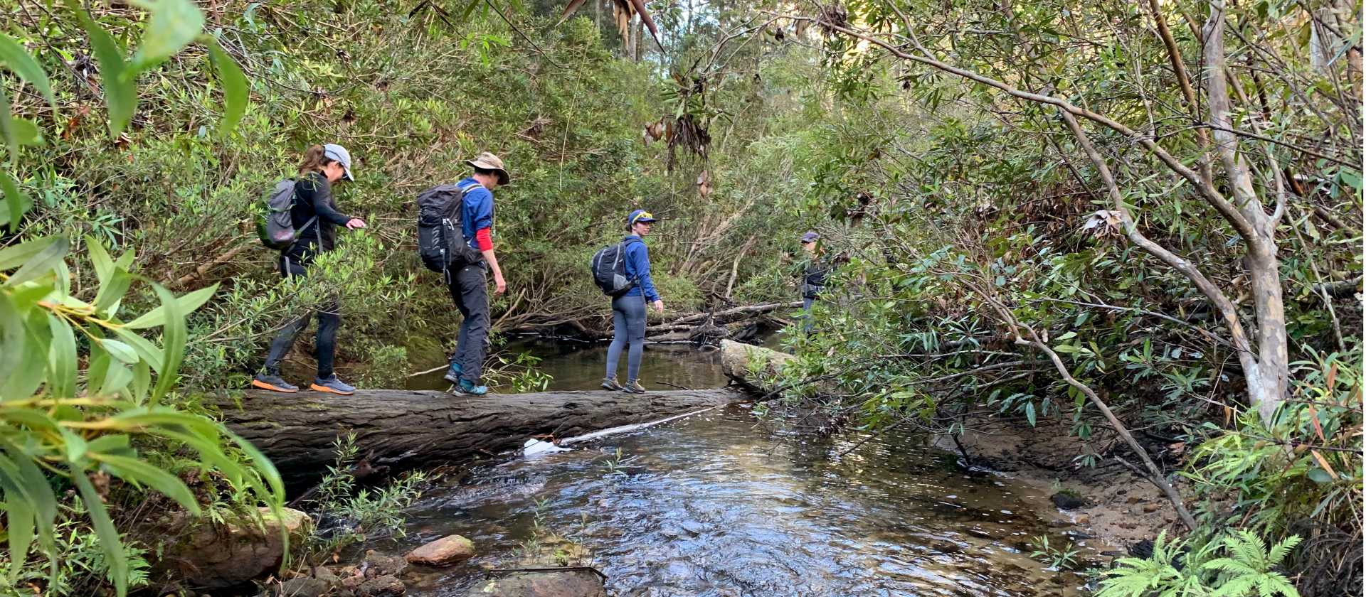 Crossing Bedford Creek | Michael Buggy