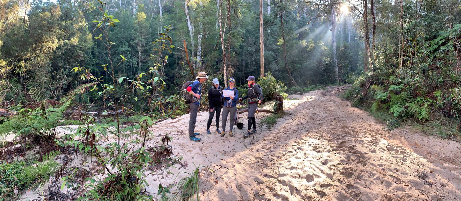 Amongst the towering eucalypts on Bedford Creek | Michael Buggy