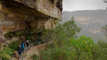 Blue Mountains Bushwalk (21 of 45),Stewart Hayes Walking in the Blue Mountains