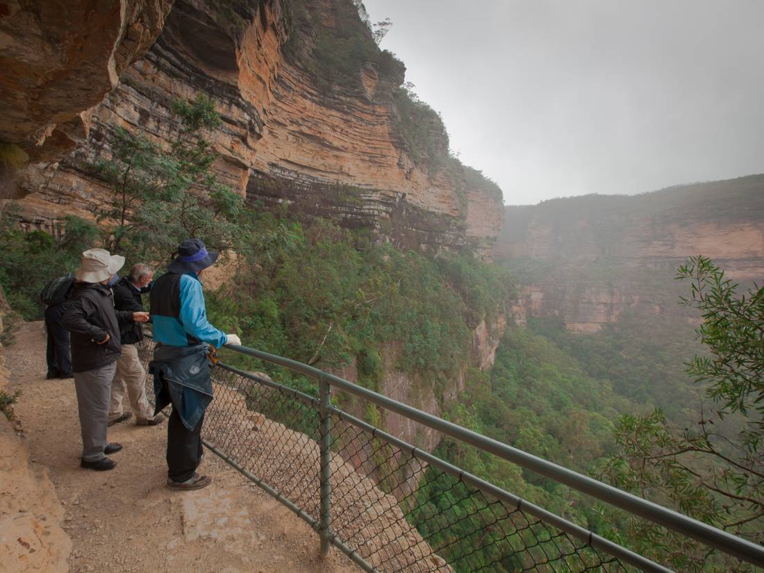 Appreciate the beauty of the Blue Mountains on a guided walk |  <i>Stewart Hayes</i>