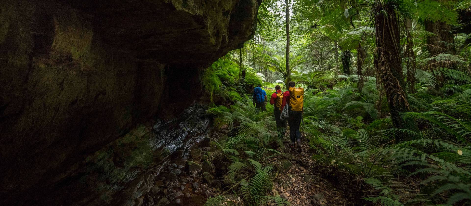 Bowens Creek Canyon - lush and green | Wolter Peeters | SMH