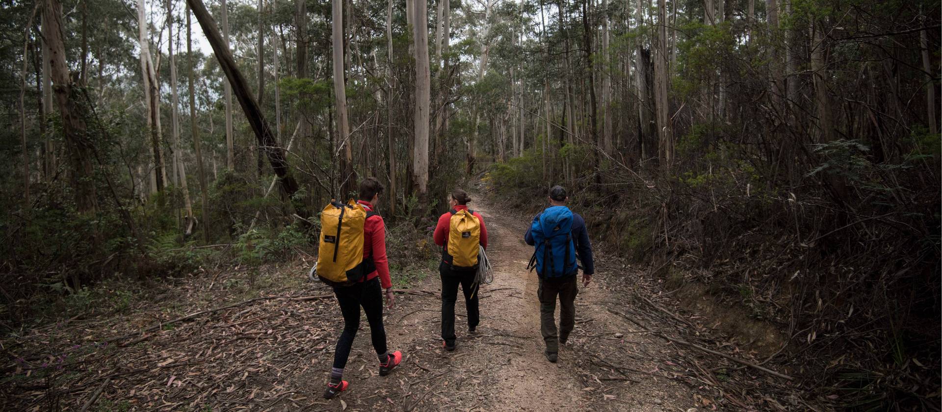 Walking in to Bowens Creek Canyon is an enjoyable experience in itself. | Wolter Peeters | SMH