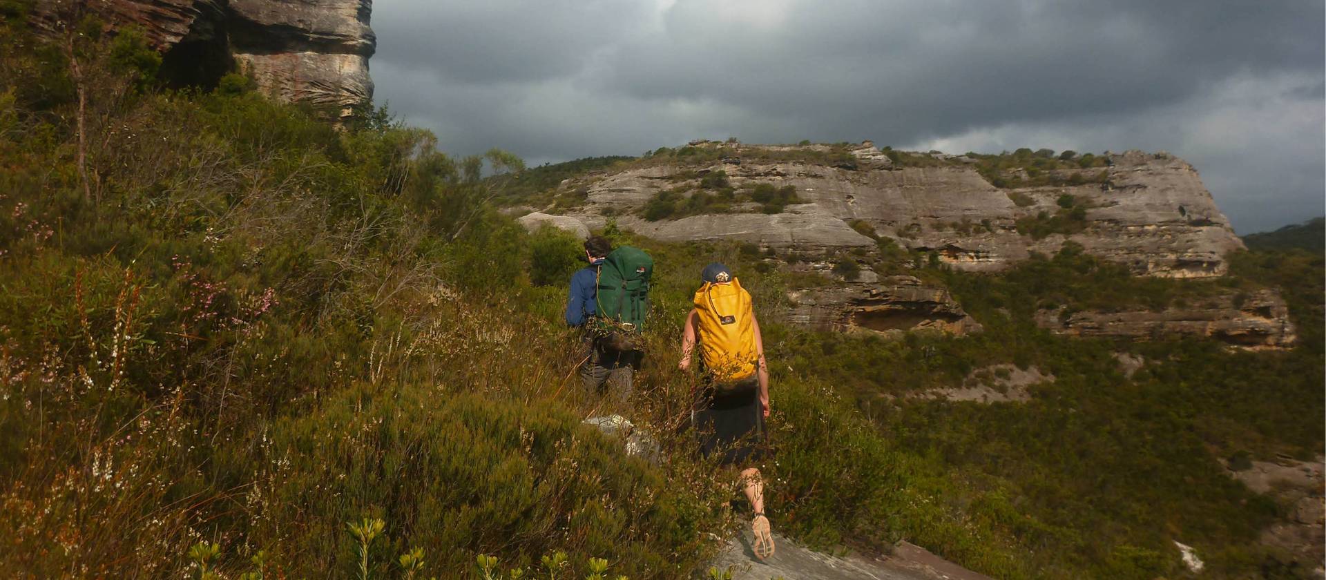 The open heath on the walk out from Butterbox Canyon | Linda Murden