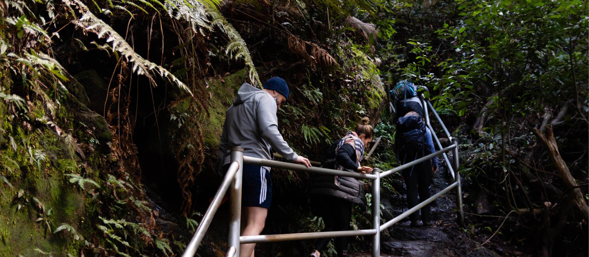 Ascending Porters Pass on the Centennial Glen Walk | Joe Kennedy