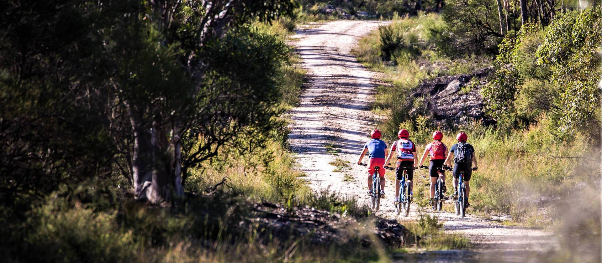 mountain bike trails blue mountains