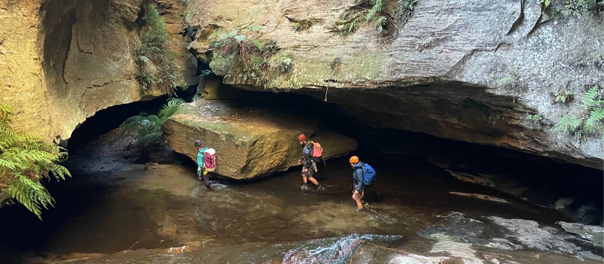 Feel small in an epic canyon environment | Andy Mein