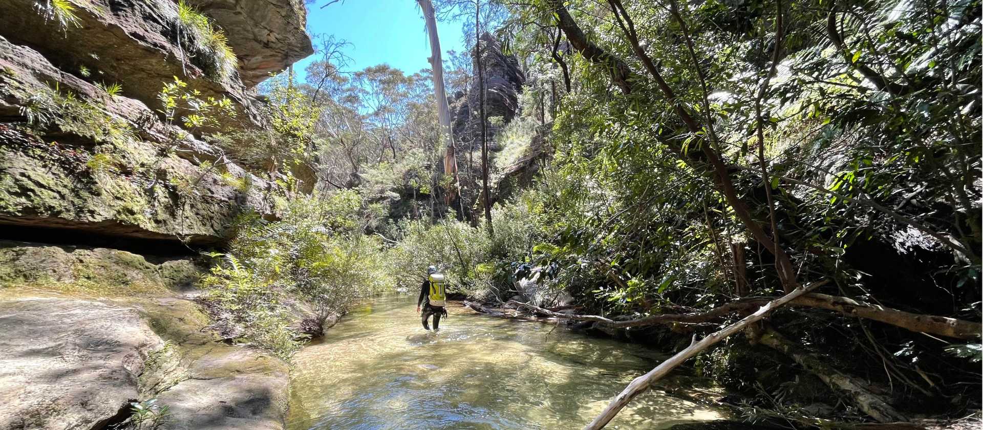 Du Faur Canyon is a joyful sun-drenched canyon | Andy Mein