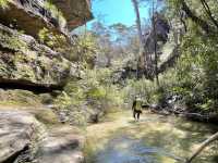 Du Faur Canyon is a joyful sun-drenched canyon |  Andy Mein