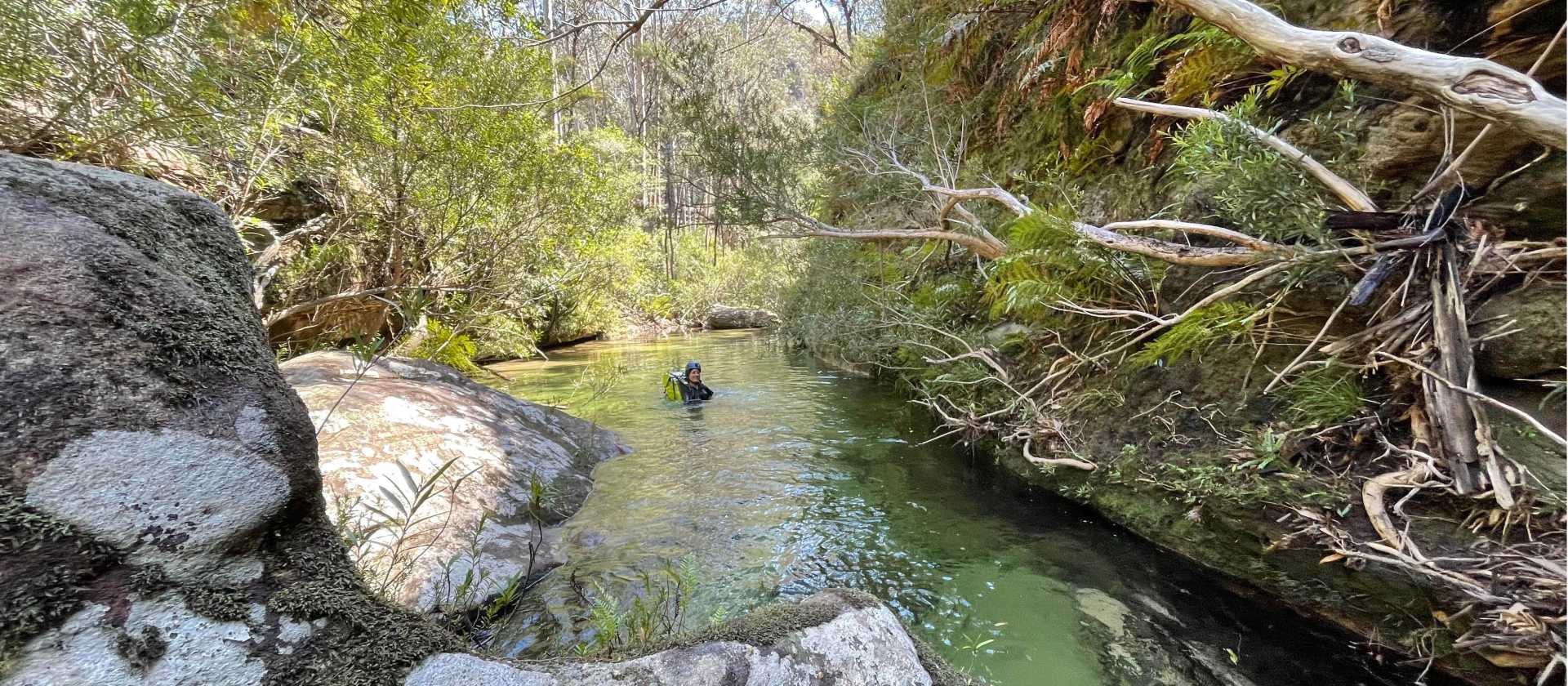 Du Faur Canyon is a wilderness wonder | Andy Mein
