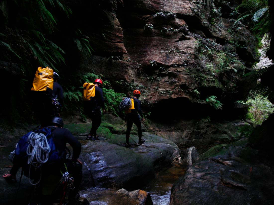 Exploring Empress Falls Canyon |  <i>Dean Sewell</i>