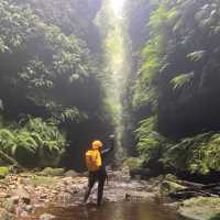 Exploring the depths of the Grand Canyon | Angela Parajo
