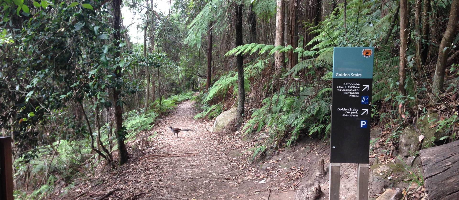 On route to Ruined Castle along Federal Pass | Bad Ninja Photographer