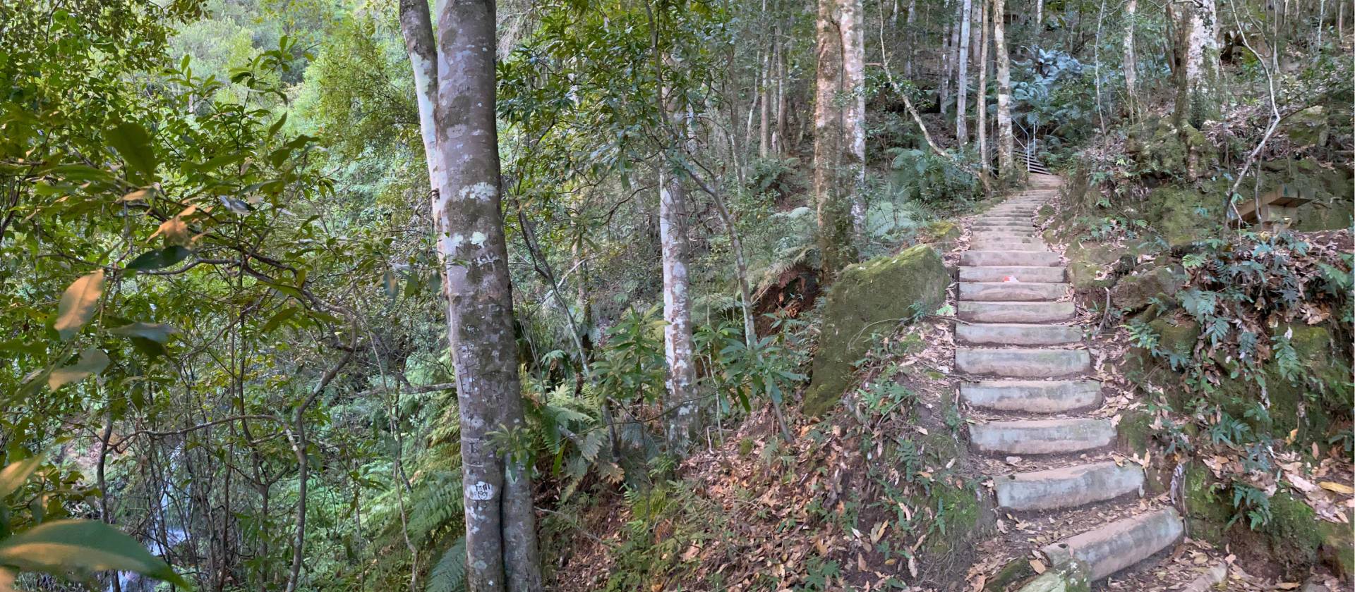 The walk down Fern Bower is a highlight of this walk | Bad Ninja Photographer