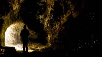 Glow Worm Cave Blue Mountains,David Hill Glow Worm Tunnel in the Blue Mountains