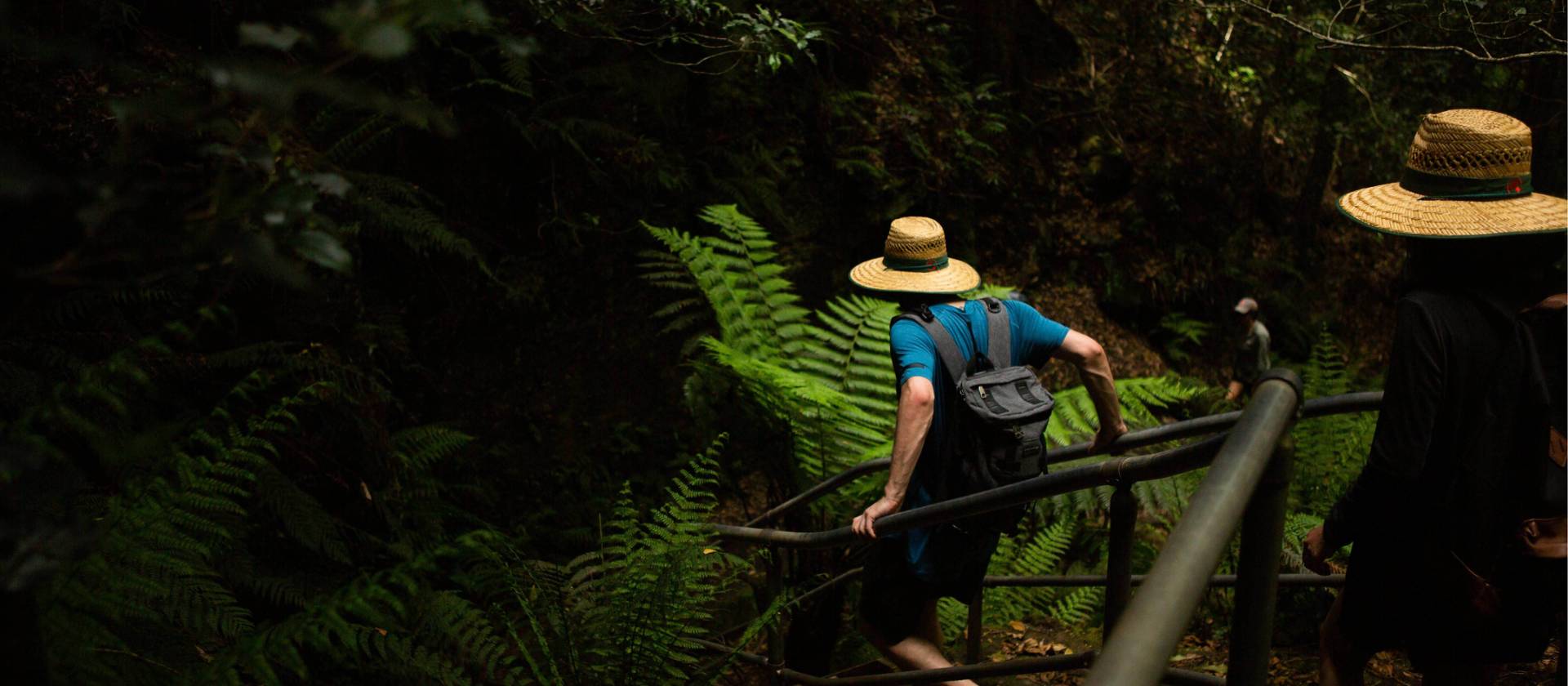 Grand Canyon Walk is a well maintained and structured trail suitable for all ages | Jannice Banks