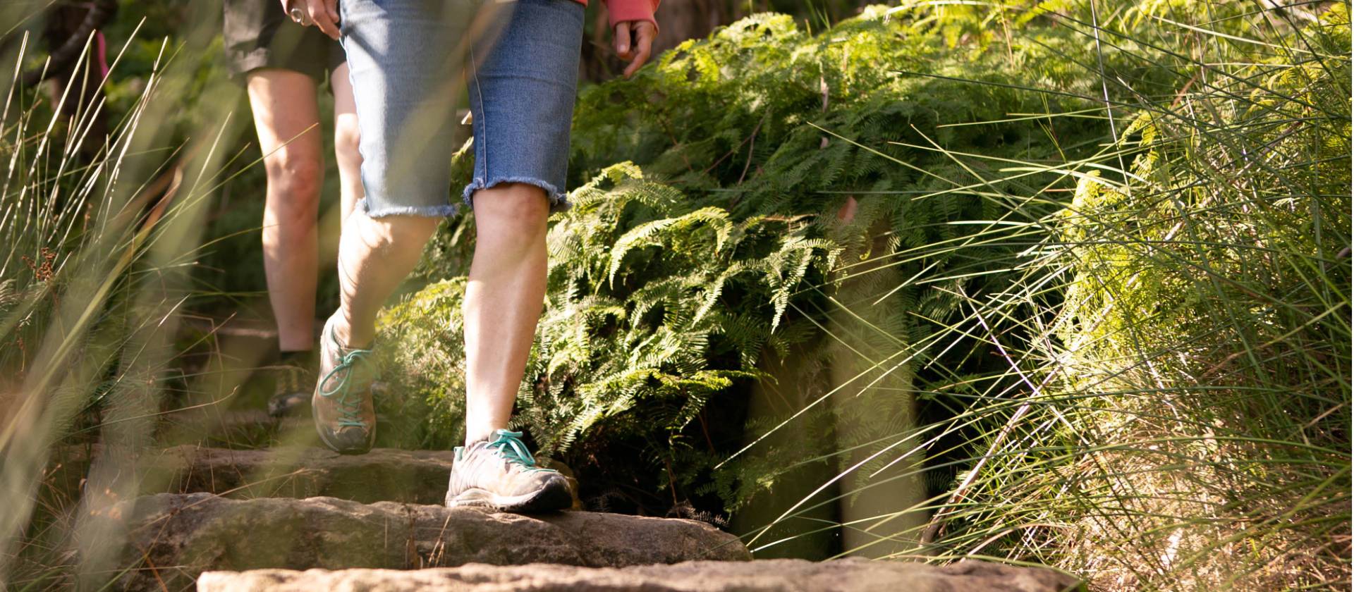 The Grand Cliff Top Walk is a world-class constructed trail | Jannice Banks