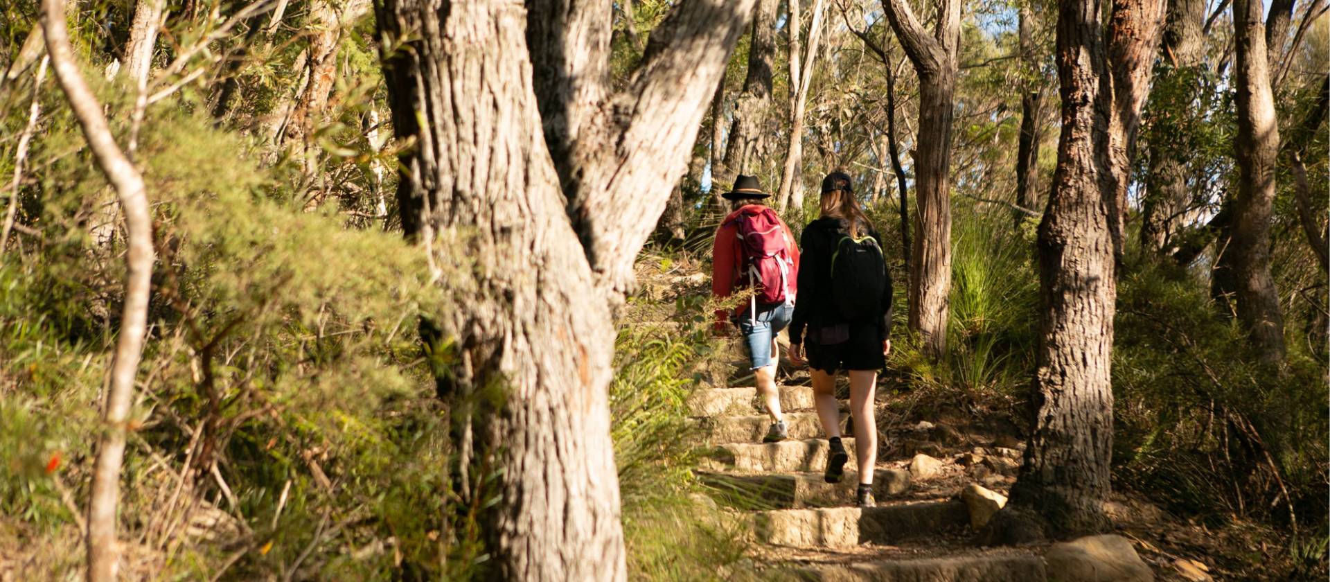 Take your time on this trail so that your senses can take it all in | Jannice Banks