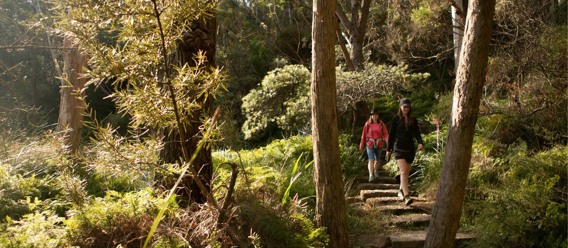 Immerse yourself in the beauty on the Grand Cliff Top Walk | Jannice Banks