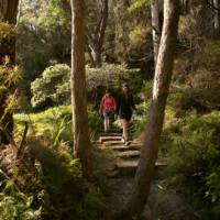 Immerse yourself in the beauty on the Grand Cliff Top Walk | Jannice Banks