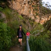 The Grand Cliff Top Walk takes you to wild places with ease | Jannice Banks