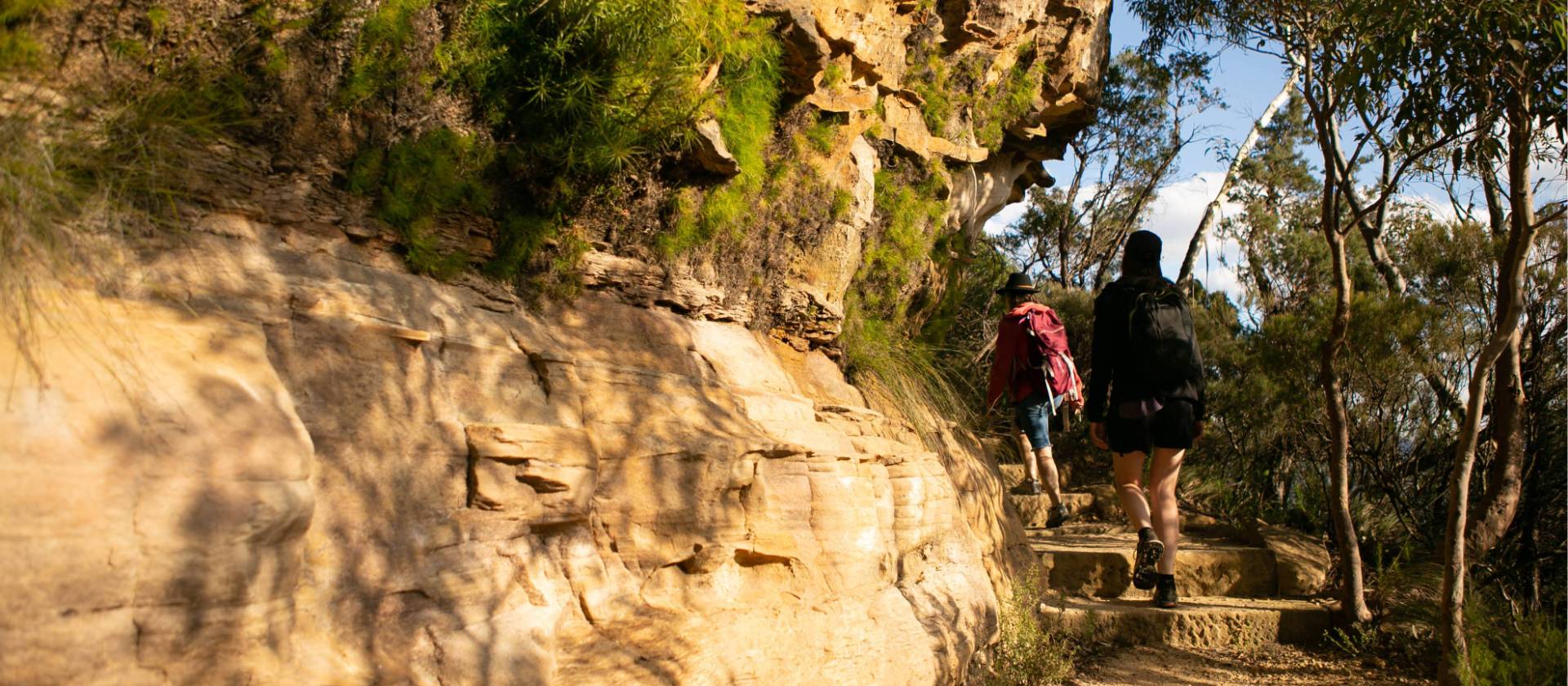 The Blue Mountains has so much to offer for walkers | Jannice Banks