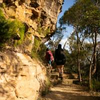 The Blue Mountains has so much to offer for walkers | Jannice Banks