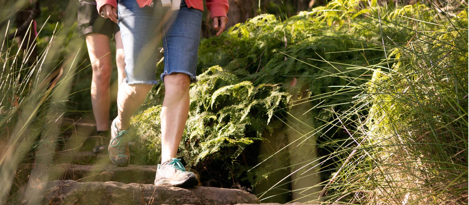 The Grand Cliff Top Walk is a world-class constructed trail | Jannice Banks