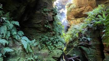 Hat Hill Canyon 2,Andrew Pope The lush greenery of Hat Hill Canyon