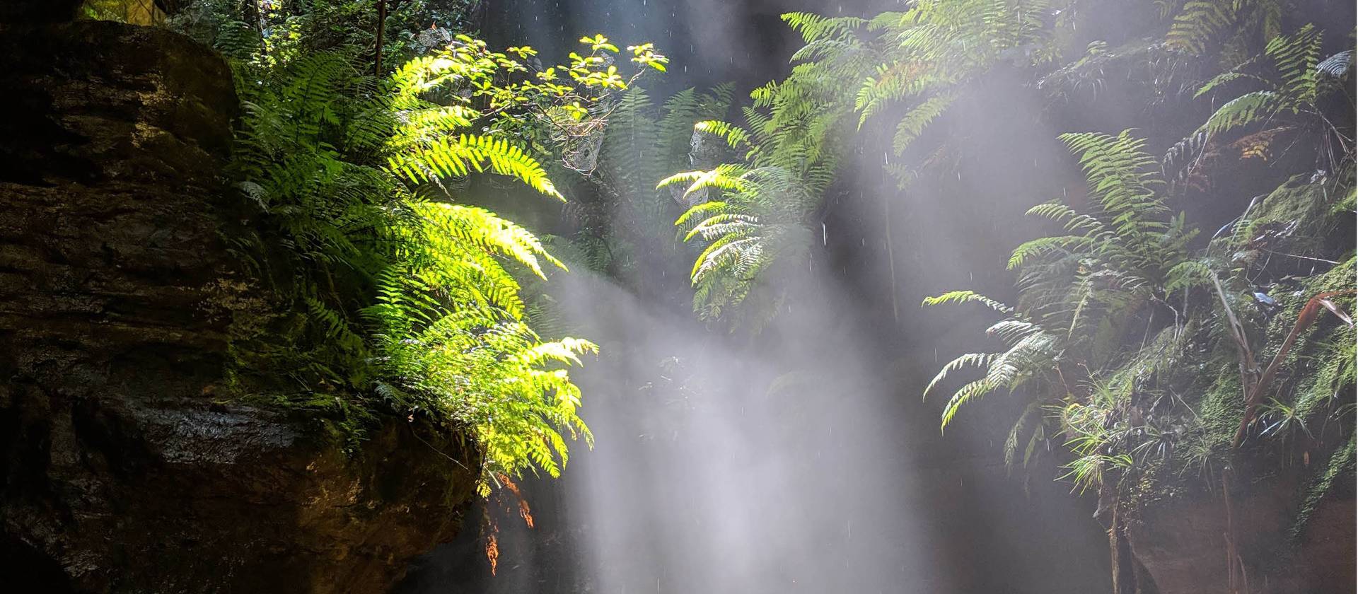 The lush greenery of Hat Hill Canyon | Andrew Pope