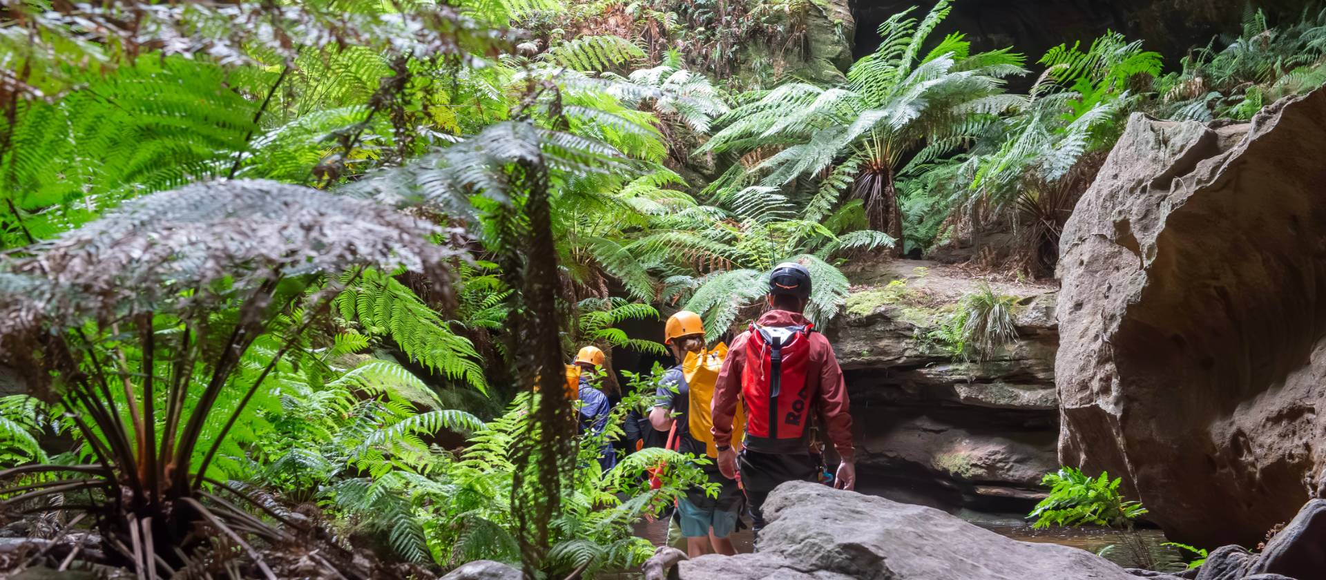 The lush vegetation of the Blue Mountains | Harriet Negus