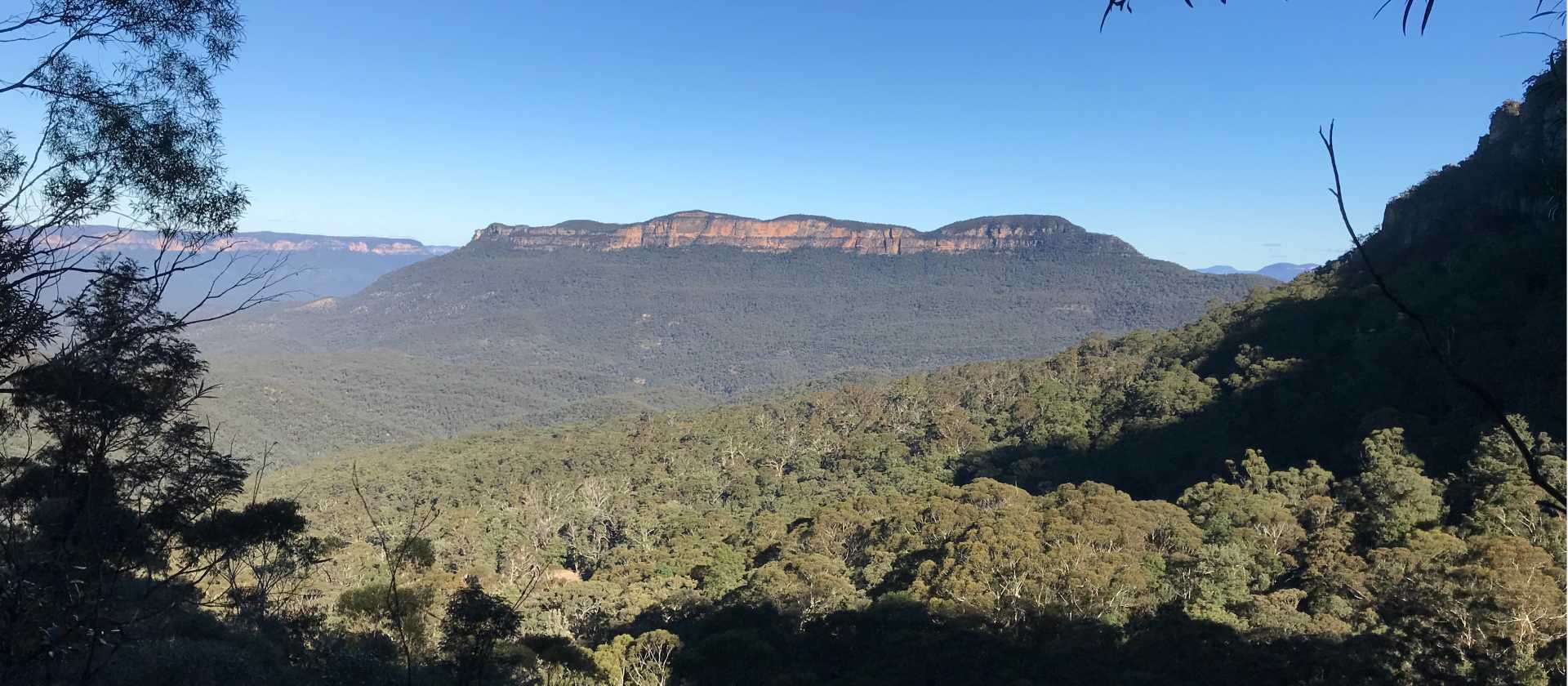 The ever present Mount Solitary viewed across the Jamison Valley | Andy Mein
