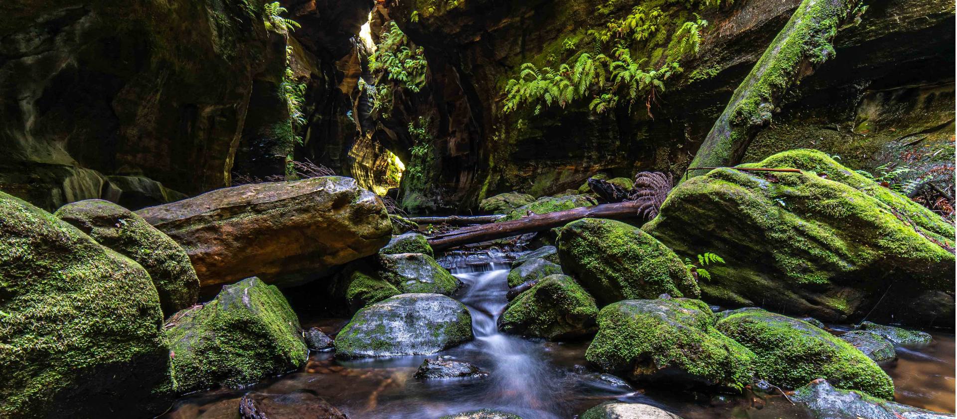Rocky Creek is a serene and otherworldly canyon | Albert Hakvoort Photography