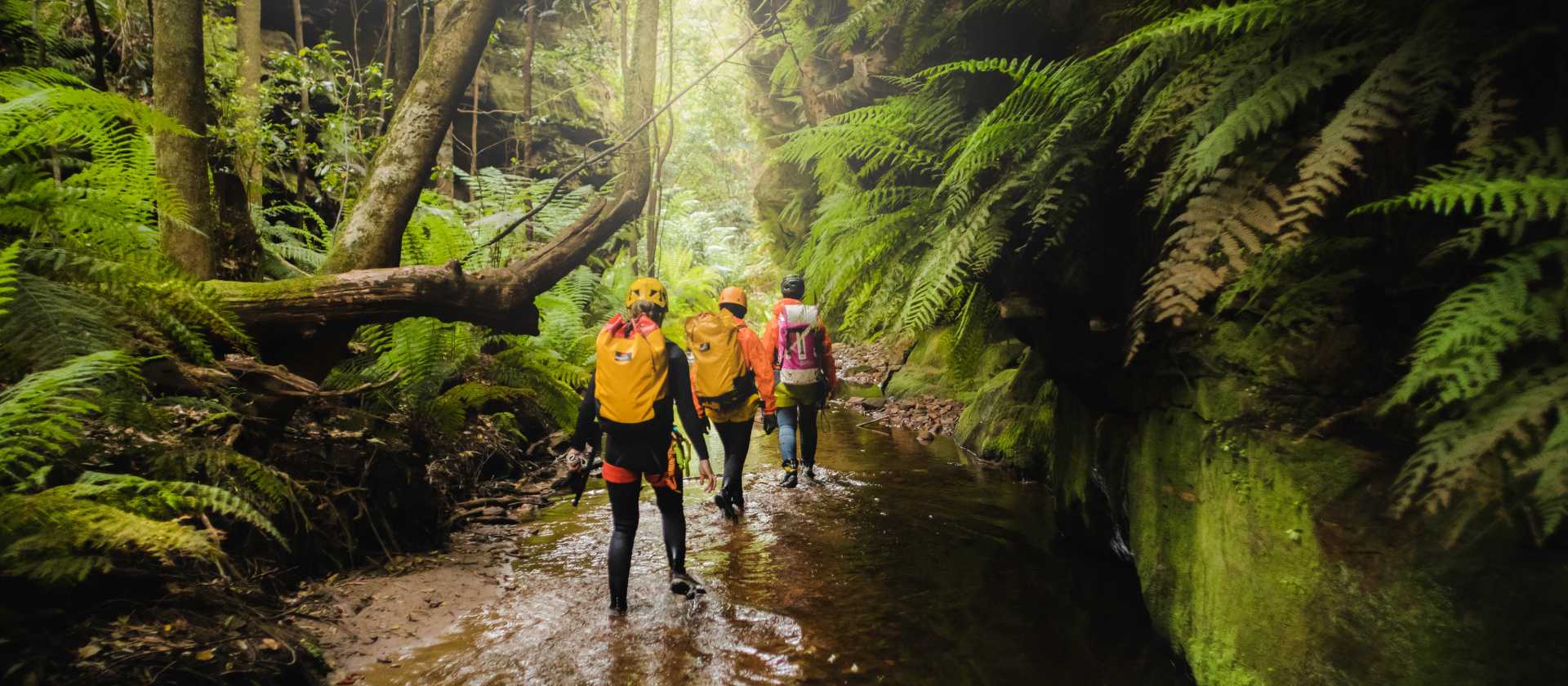 This canyon offers a good mix of rainforest walking and tight constrictions | Dale Martin