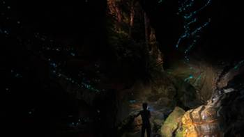The wonders of glow worms in Grand Canyon