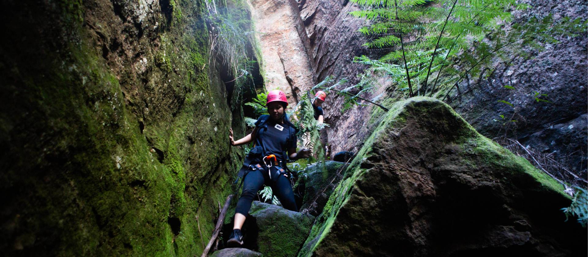 Exploring this hidden world is for the agile | Jannice Banks