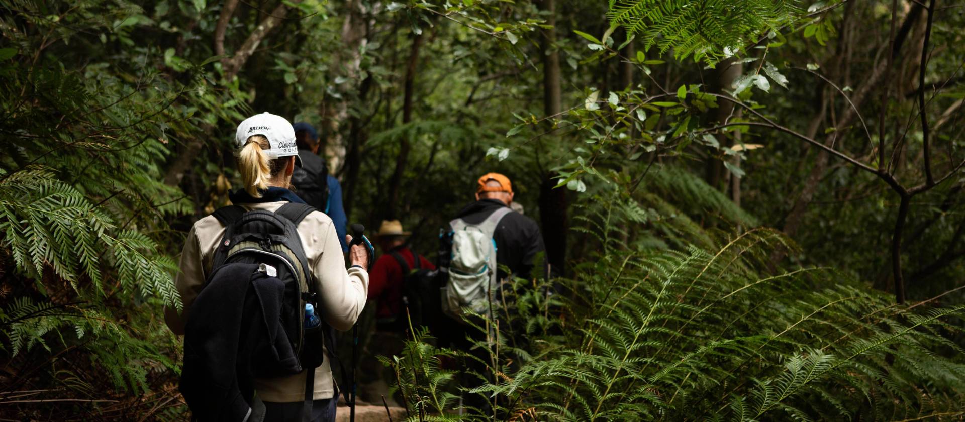 Walk the paths less travelled in the Blue Mountains | Jannice Banks