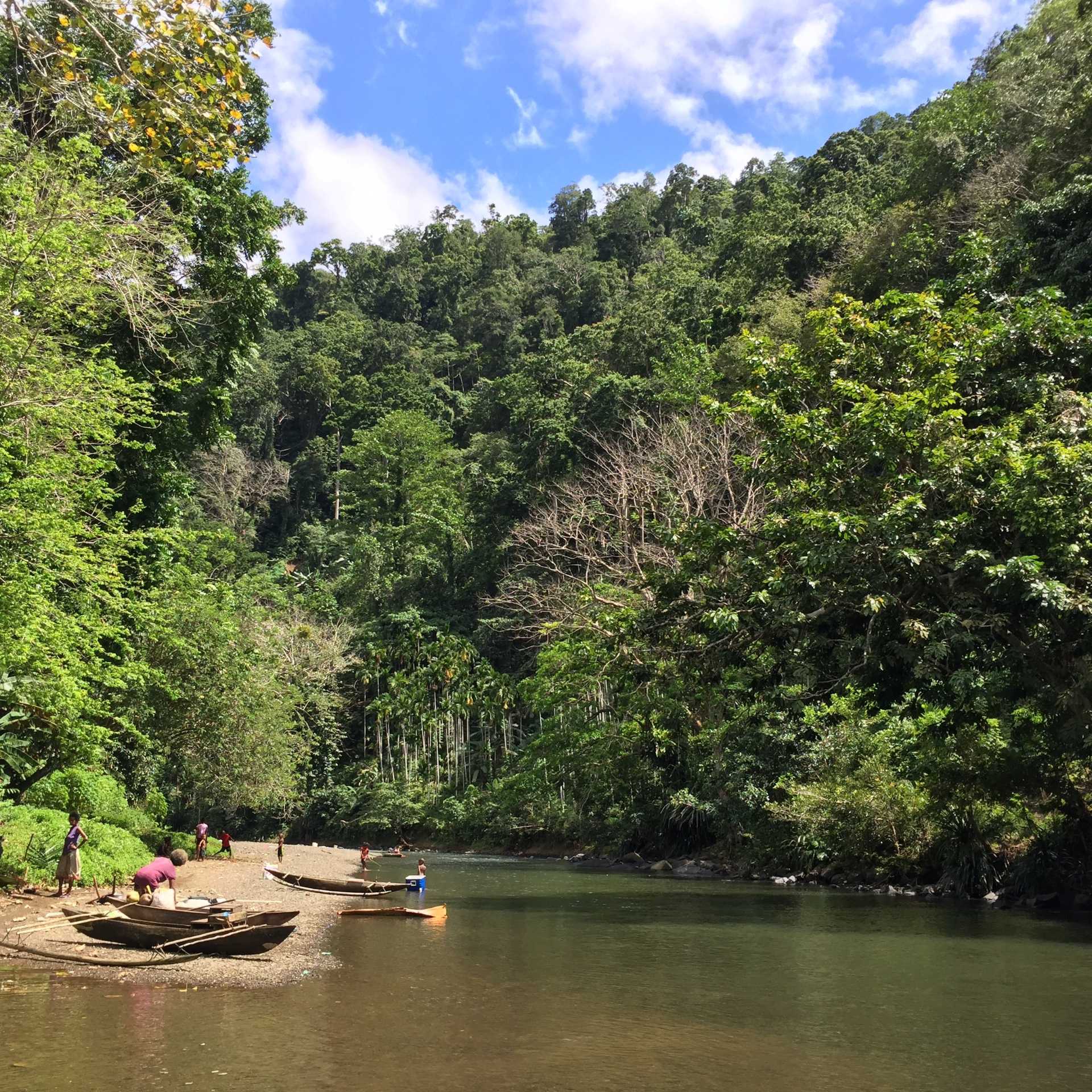 PNG Regen 2030 Project Cool Earth