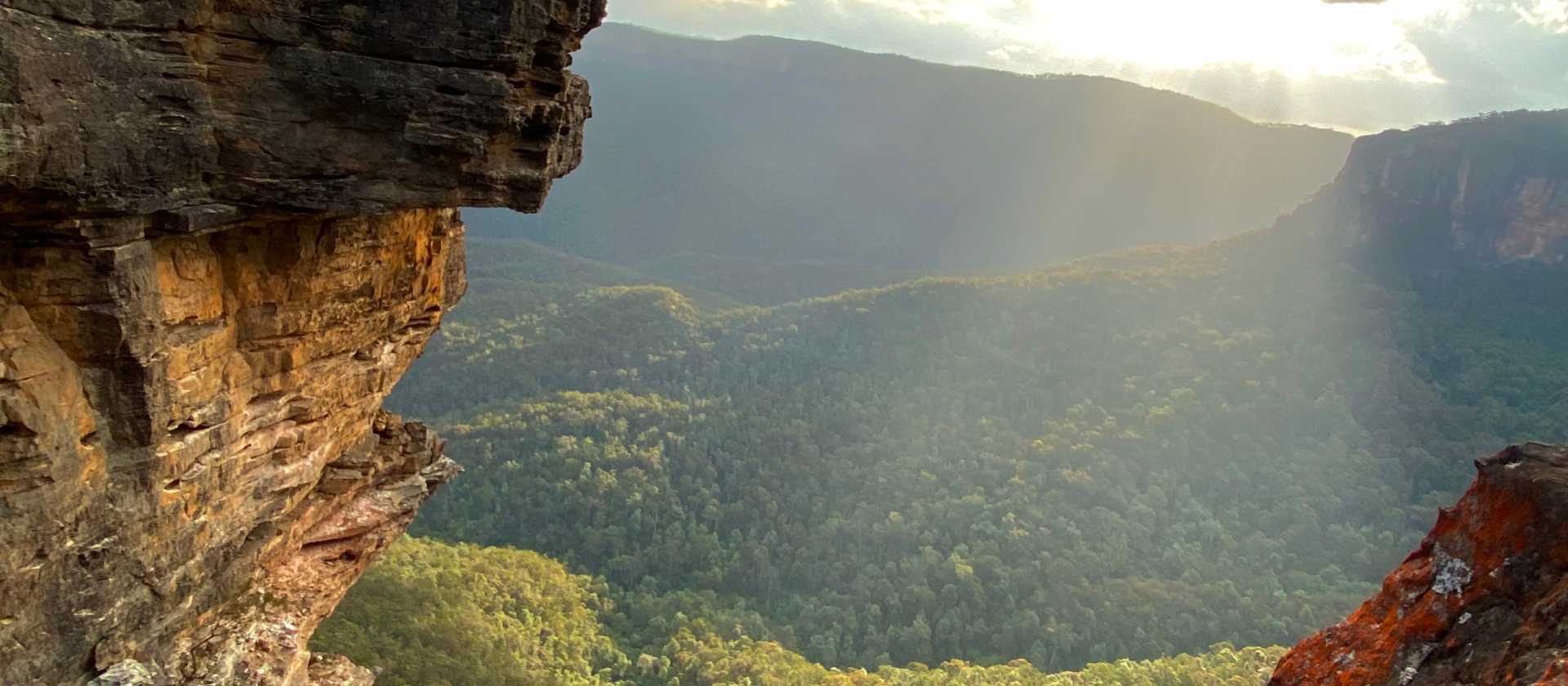 Blue Mountains walk | Andy Mein