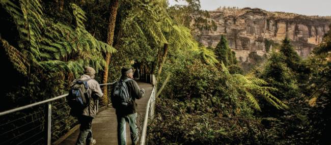 The Blue Mountains has a great variety of bush walks to suit everyone's fitness abilities | David Hill