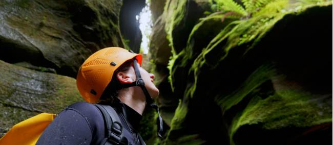 In the depths of the Blue Mountains canyons